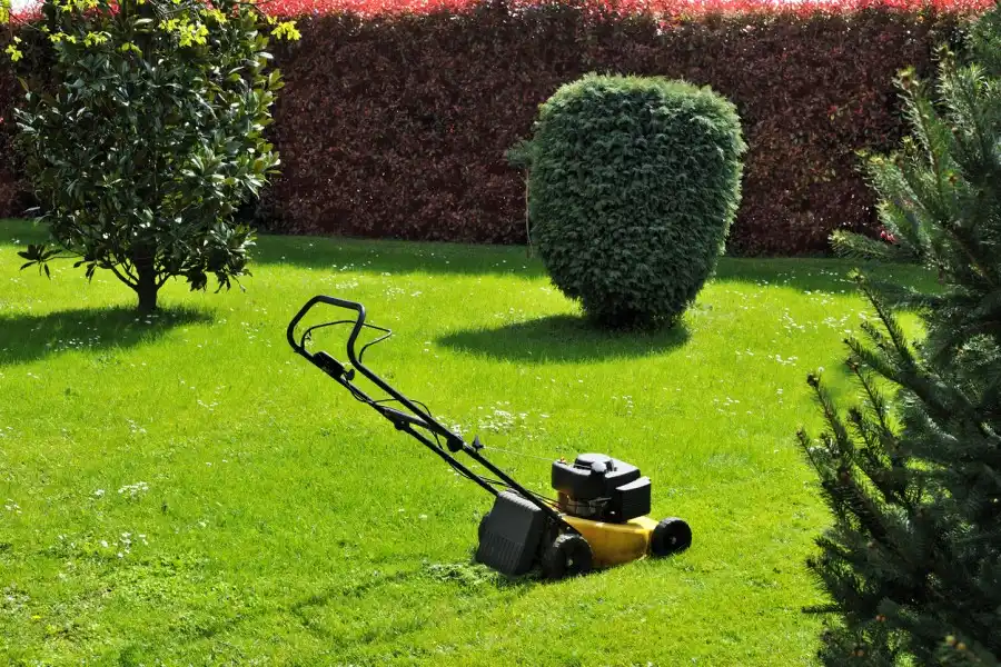 Landscape Maintenance
